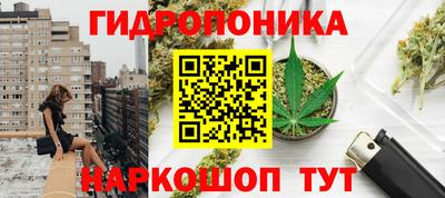 PSILOCYBIN Лесосибирск