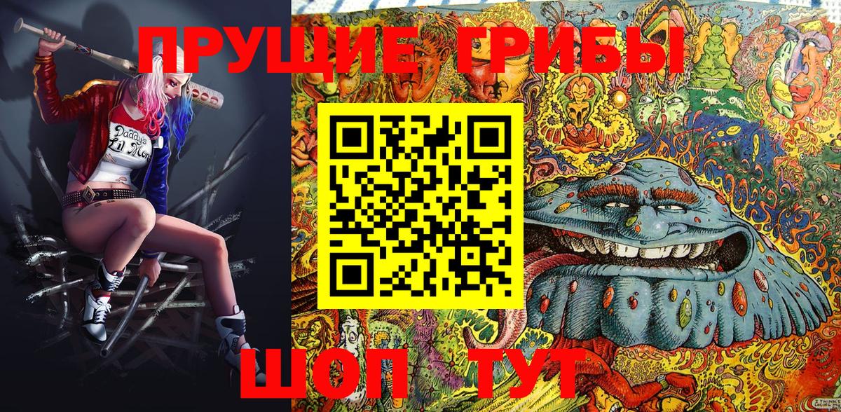 Жуковский  Псилоцибиновые грибы MAGIC MUSHROOMS  Вход с VPN 